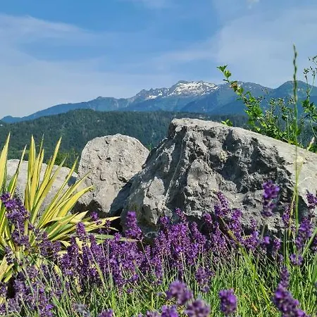 Le Refuge Du Montagnard 4* Marthod